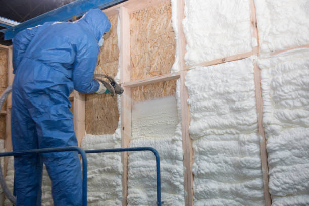  , NM Insulation Removal & Installation Pros